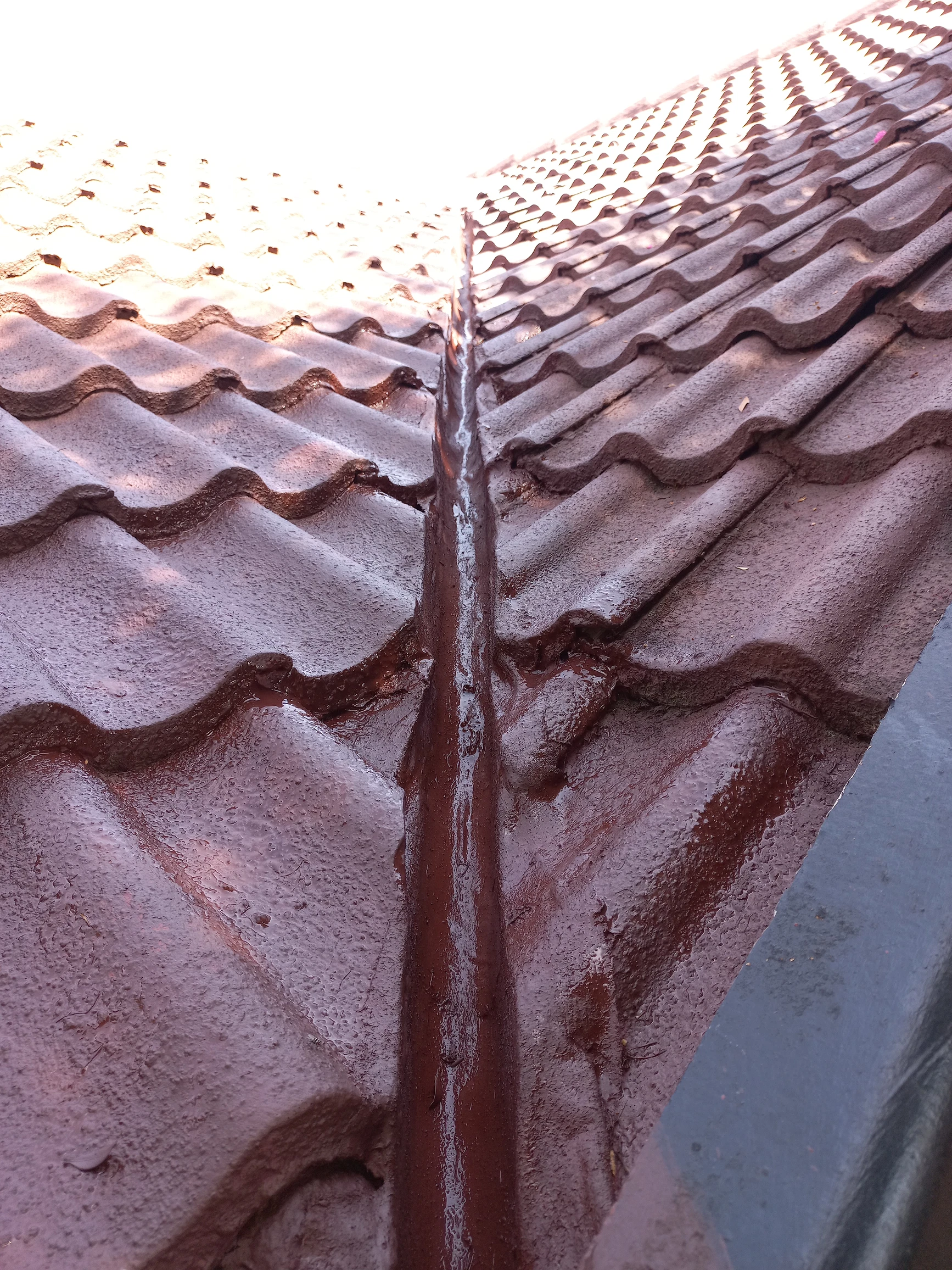 Roof Repair